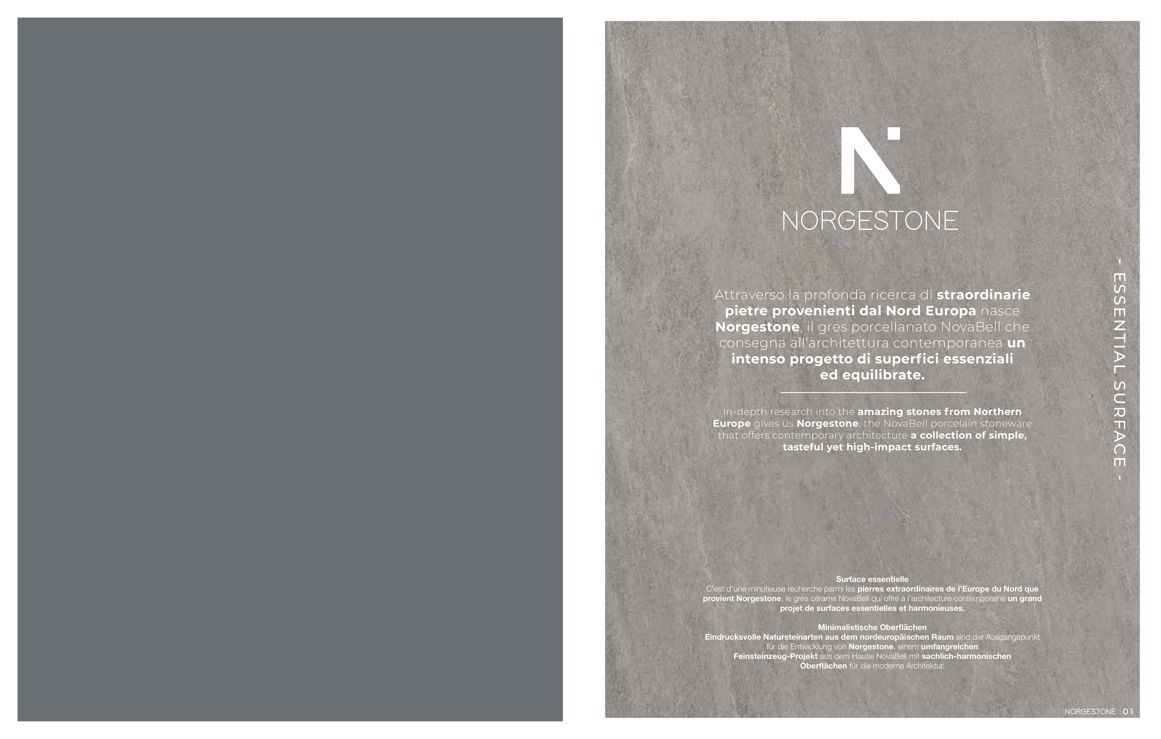 Norgestone - Image 1