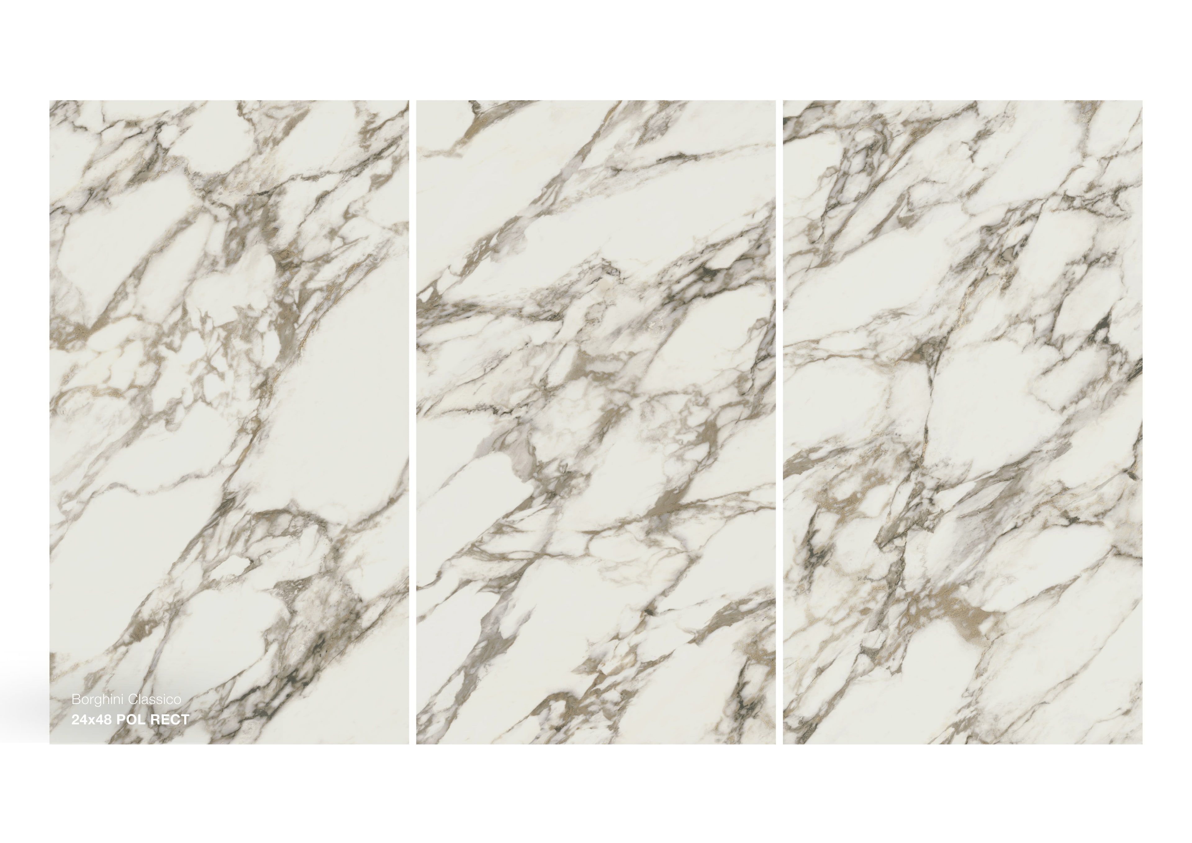 Borghini Classico - Image 3