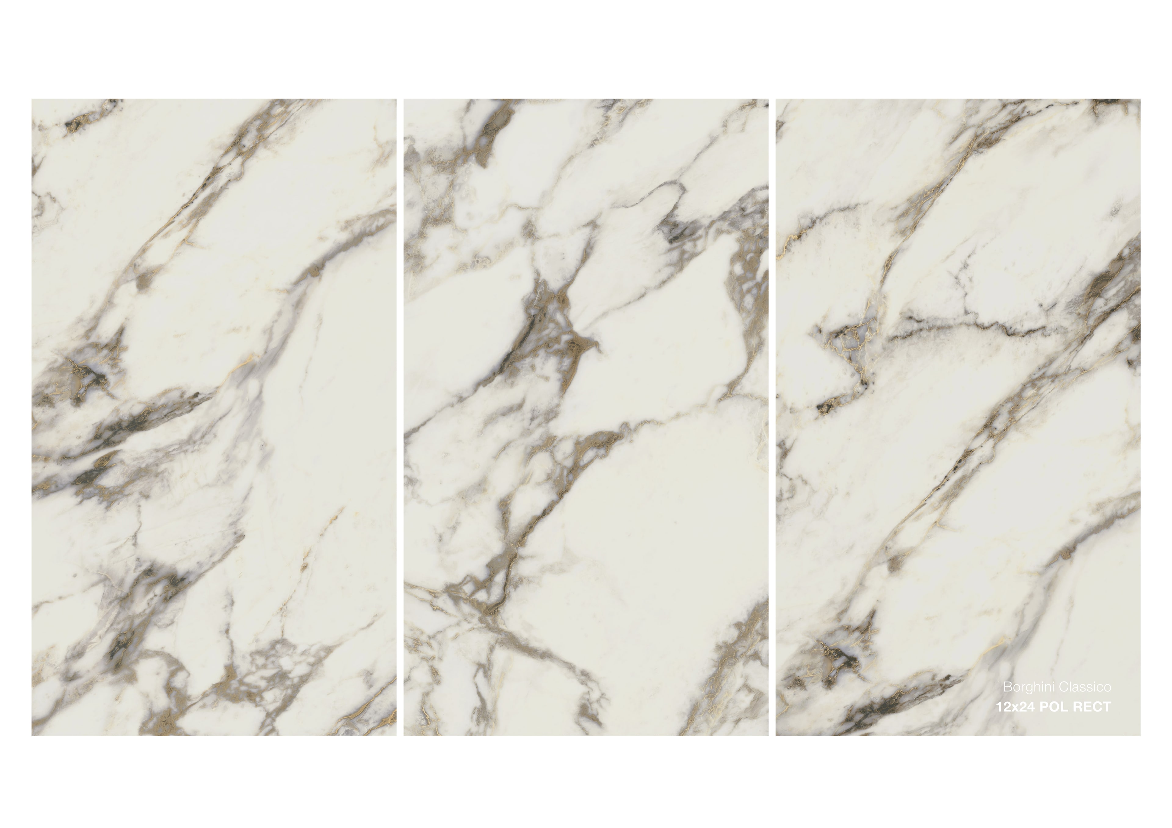 Borghini Classico - Image 4